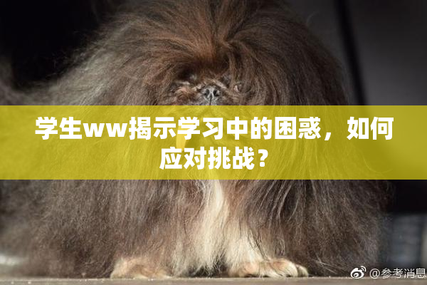 学生ww揭示学习中的困惑，如何应对挑战？