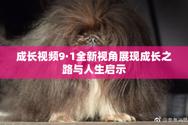 成长视频9·1全新视角展现成长之路与人生启示