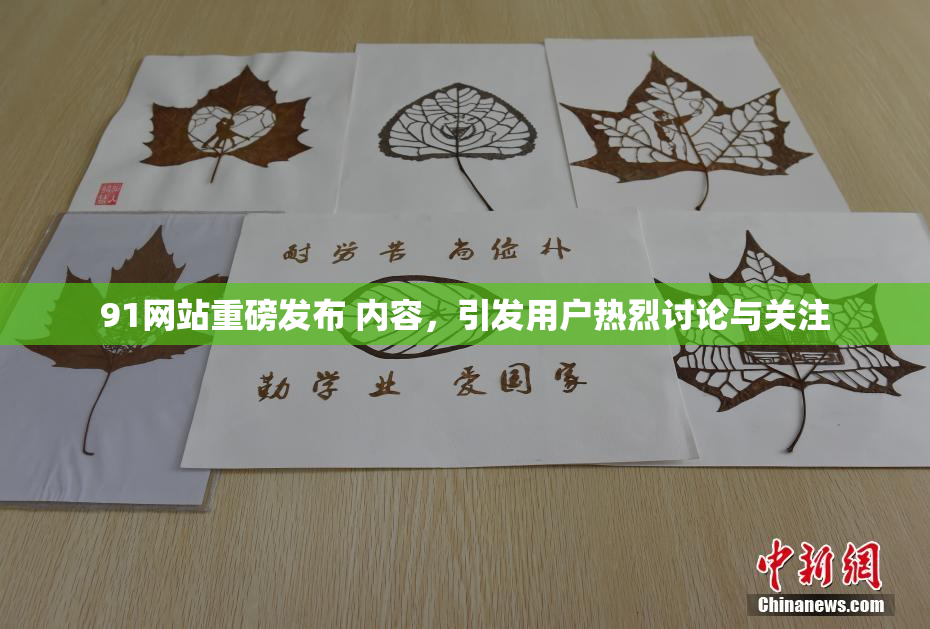 91网站重磅发布 内容，引发用户热烈讨论与关注