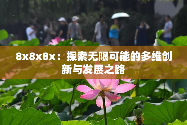 8x8x8x：探索无限可能的多维创新与发展之路