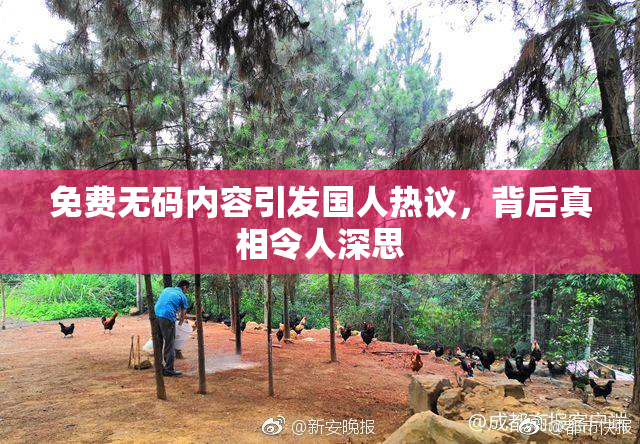 免费无码内容引发国人热议，背后真相令人深思