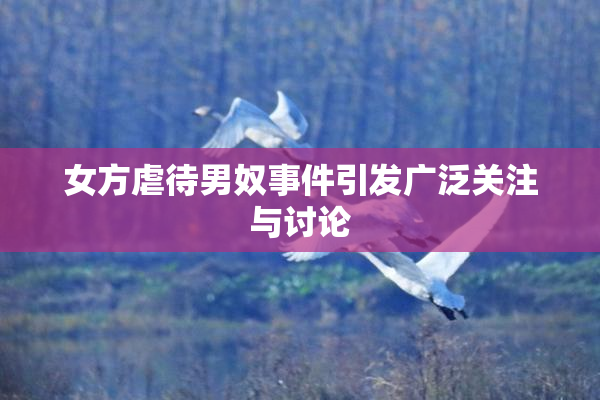 女方虐待男奴事件引发广泛关注与讨论