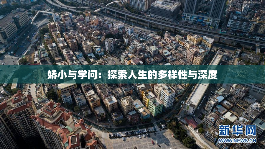 娇小与学问：探索人生的多样性与深度