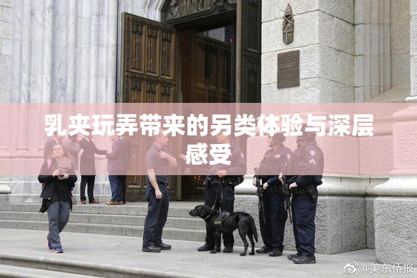 乳夹玩弄带来的另类体验与深层感受
