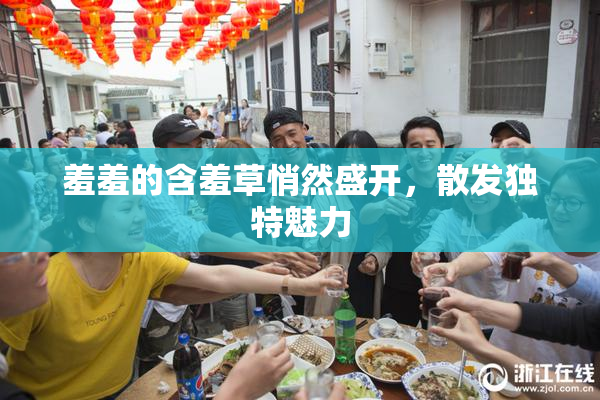 羞羞的含羞草悄然盛开，散发独特魅力