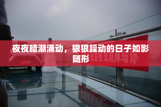 夜夜暗潮涌动，狠狠躁动的日子如影随形