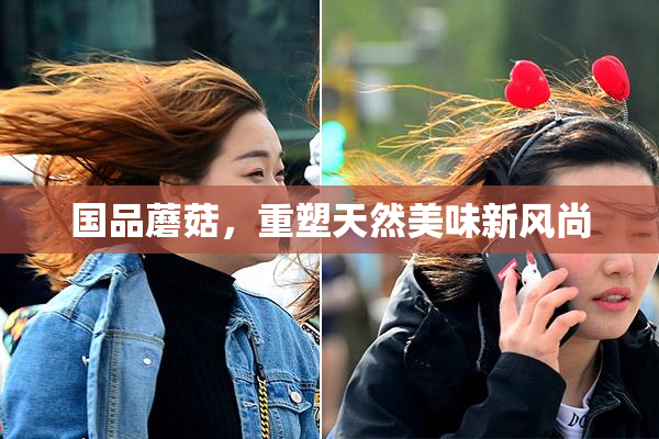 国品蘑菇，重塑天然美味新风尚