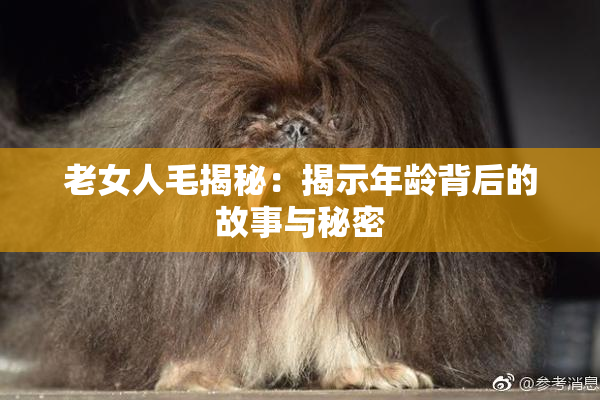 老女人毛揭秘：揭示年龄背后的故事与秘密