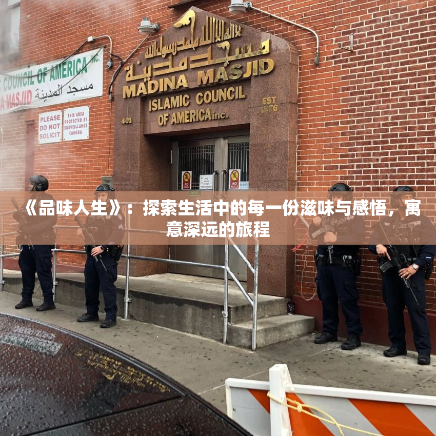 《品味人生》：探索生活中的每一份滋味与感悟，寓意深远的旅程