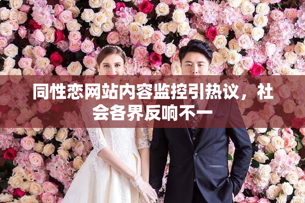 同性恋网站内容监控引热议，社会各界反响不一