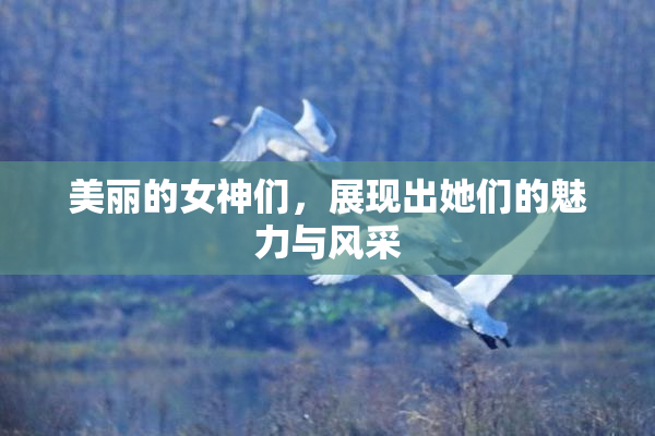 美丽的女神们，展现出她们的魅力与风采