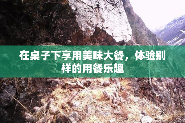 在桌子下享用美味大餐，体验别样的用餐乐趣