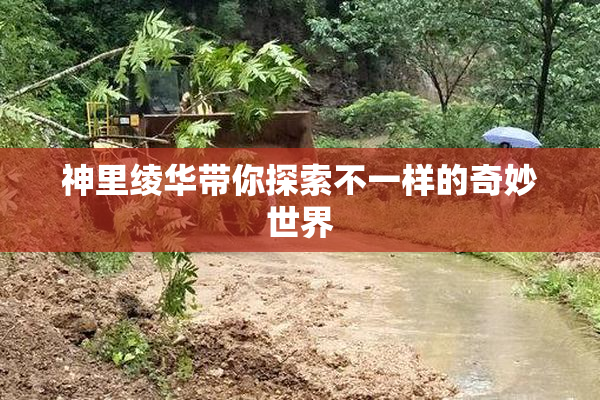 神里绫华带你探索不一样的奇妙世界