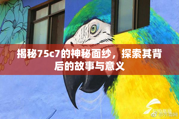揭秘75c7的神秘面纱，探索其背后的故事与意义