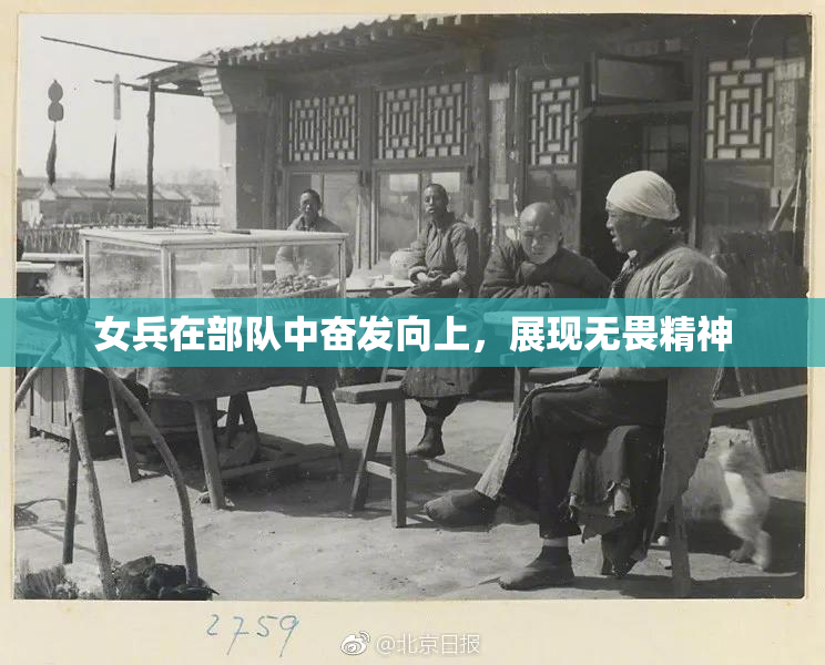 女兵在部队中奋发向上，展现无畏精神