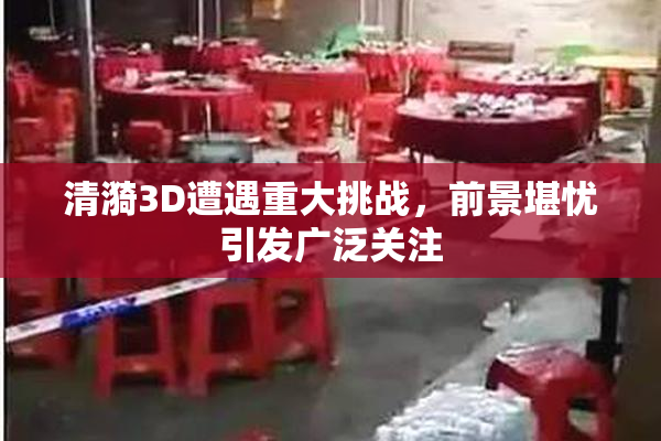 清漪3D遭遇重大挑战，前景堪忧引发广泛关注