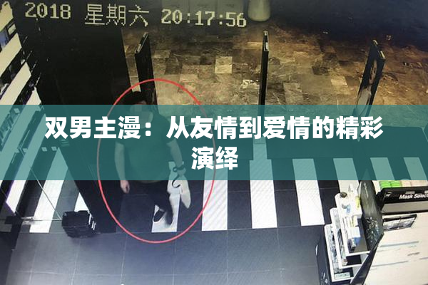 双男主漫：从友情到爱情的精彩演绎