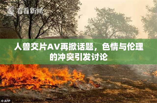 人兽交片AV再掀话题，色情与伦理的冲突引发讨论