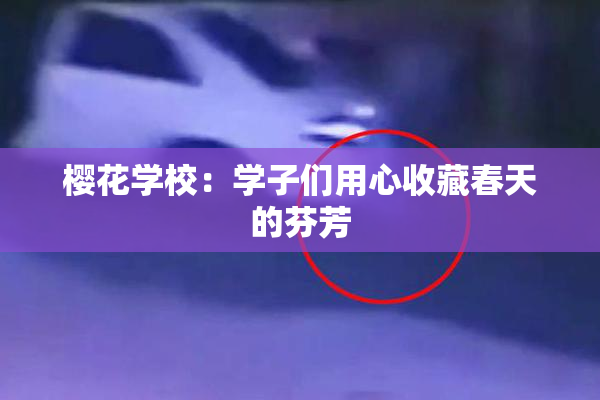 樱花学校：学子们用心收藏春天的芬芳