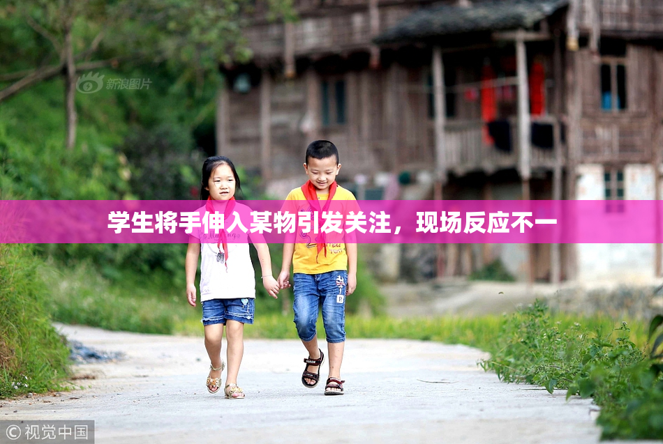 学生将手伸入某物引发关注，现场反应不一