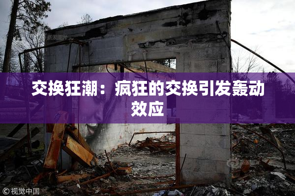 交换狂潮：疯狂的交换引发轰动效应