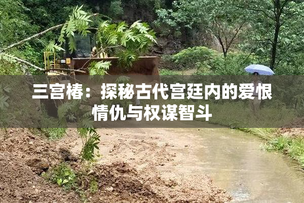 三宫椿：探秘古代宫廷内的爱恨情仇与权谋智斗