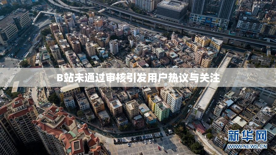 B站未通过审核引发用户热议与关注
