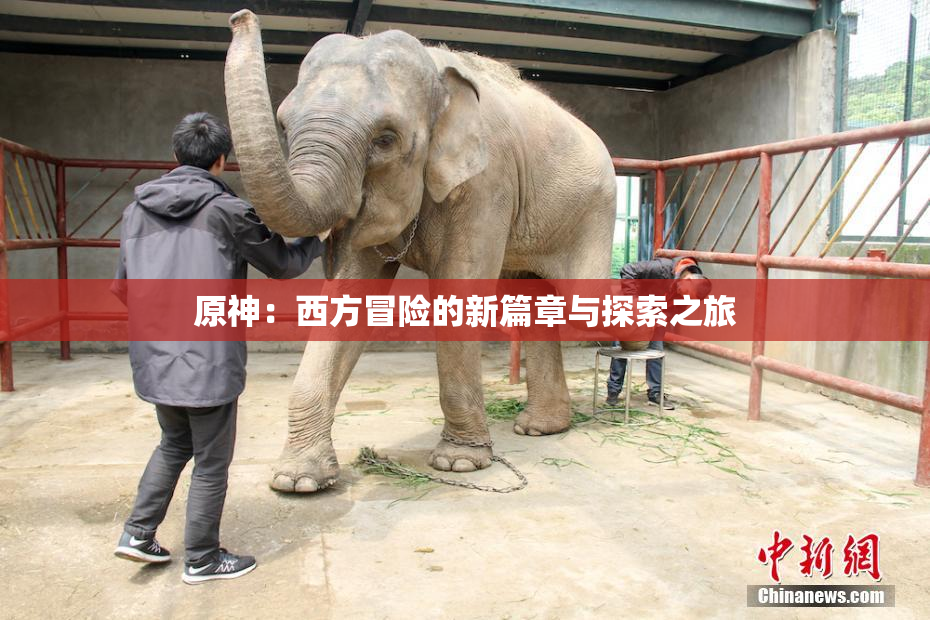 原神：西方冒险的新篇章与探索之旅
