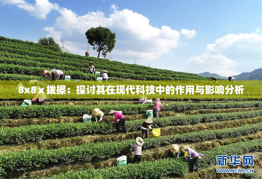 8x8ⅹ拨擦：探讨其在现代科技中的作用与影响分析