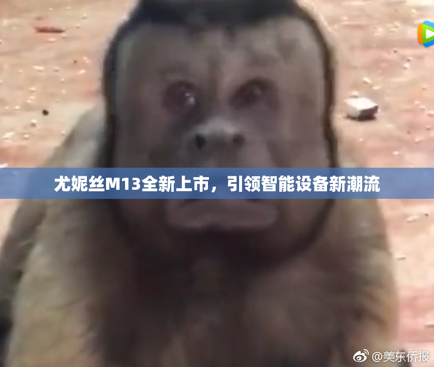 尤妮丝M13全新上市，引领智能设备新潮流