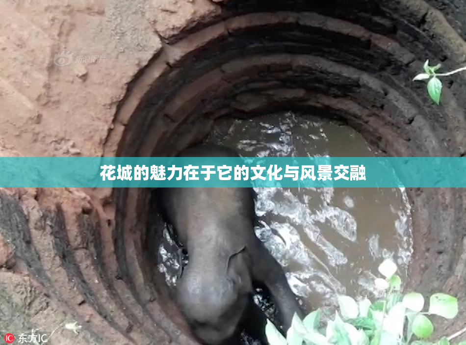 花城的魅力在于它的文化与风景交融