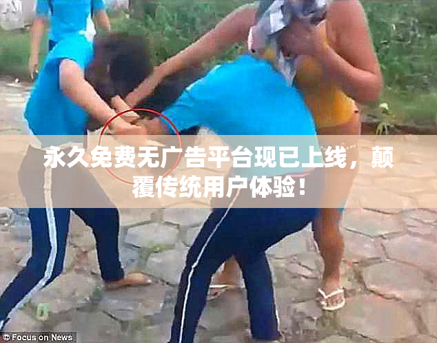 永久免费无广告平台现已上线，颠覆传统用户体验！