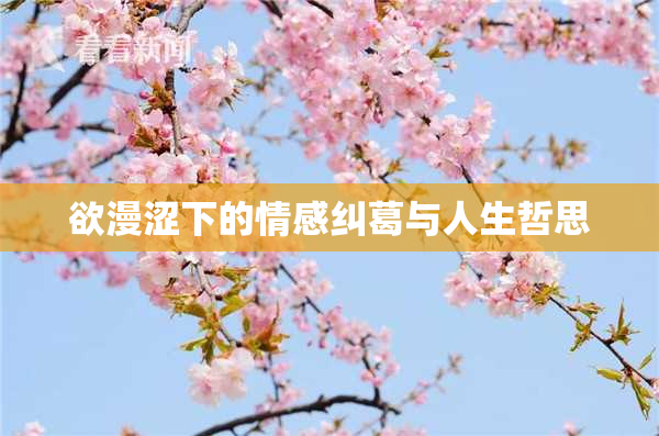 欲漫涩下的情感纠葛与人生哲思
