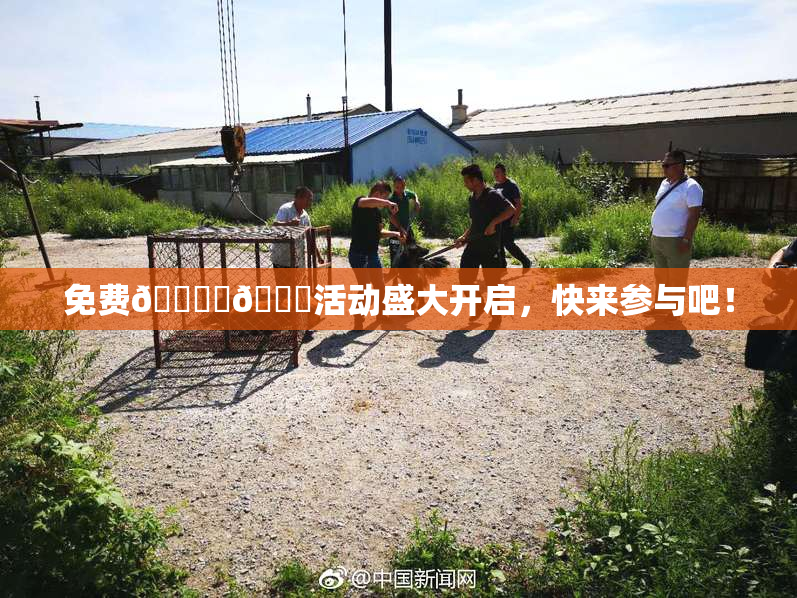 免费🔞‌🍌活动盛大开启，快来参与吧！