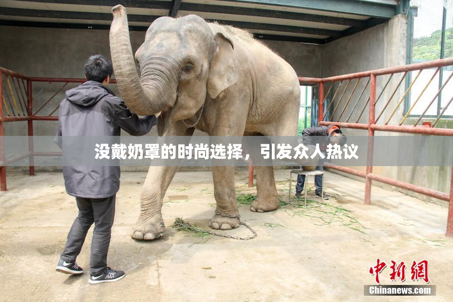 没戴奶罩的时尚选择，引发众人热议