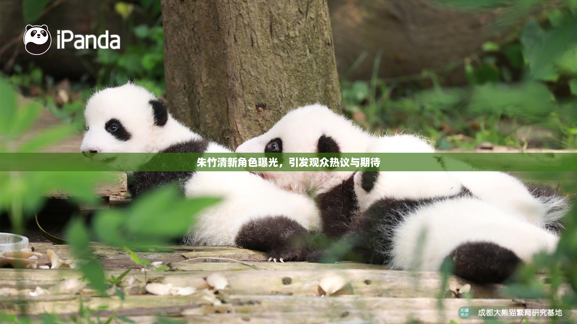 朱竹清新角色曝光，引发观众热议与期待