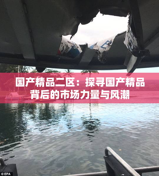 国产精品二区：探寻国产精品背后的市场力量与风潮