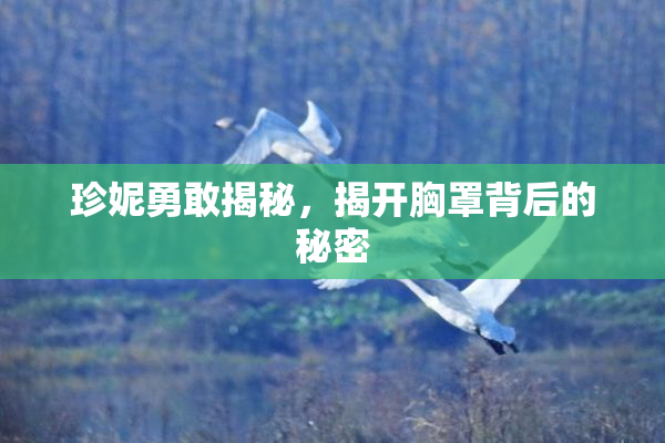珍妮勇敢揭秘，揭开胸罩背后的秘密