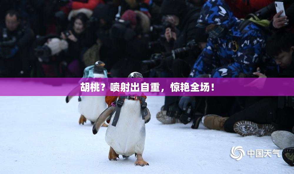 胡桃？喷射出自重，惊艳全场！