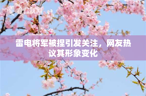 雷电将军被捏引发关注，网友热议其形象变化