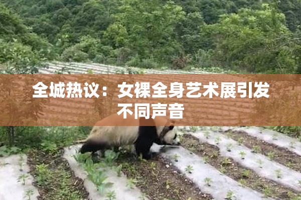 全城热议：女裸全身艺术展引发不同声音