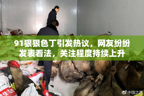 91狠狠色丁引发热议，网友纷纷发表看法，关注程度持续上升