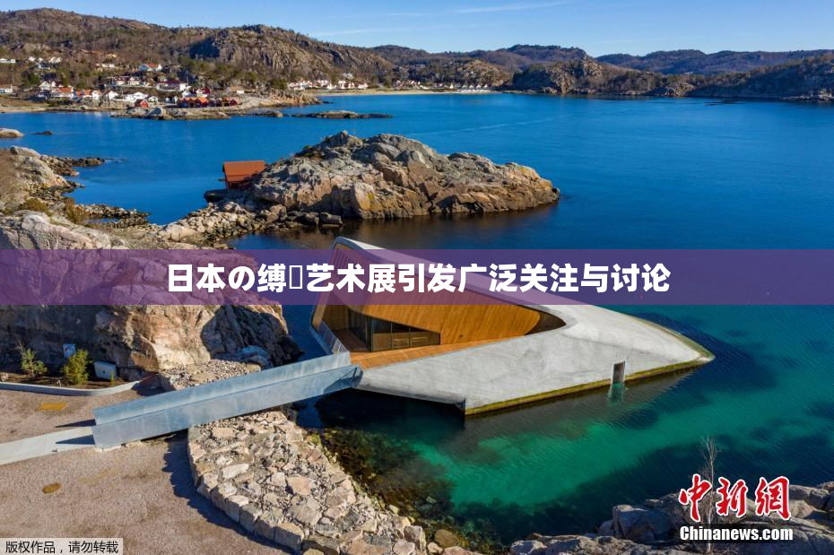 日本の缚縄艺术展引发广泛关注与讨论