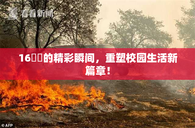 16妺妺的精彩瞬间，重塑校园生活新篇章！