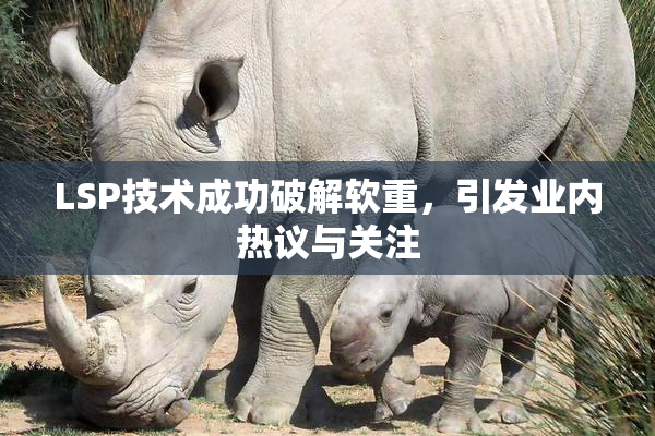 LSP技术成功破解软重，引发业内热议与关注