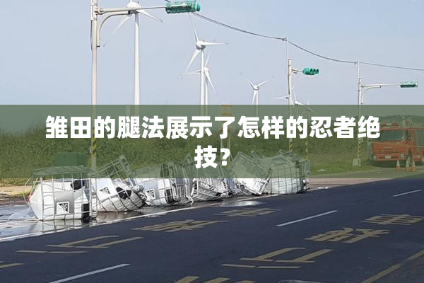 雏田的腿法展示了怎样的忍者绝技？