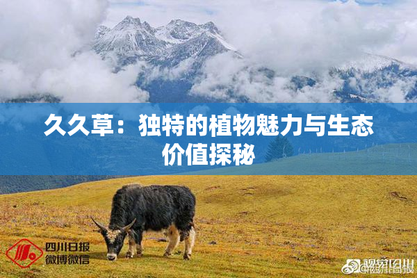 久久草：独特的植物魅力与生态价值探秘