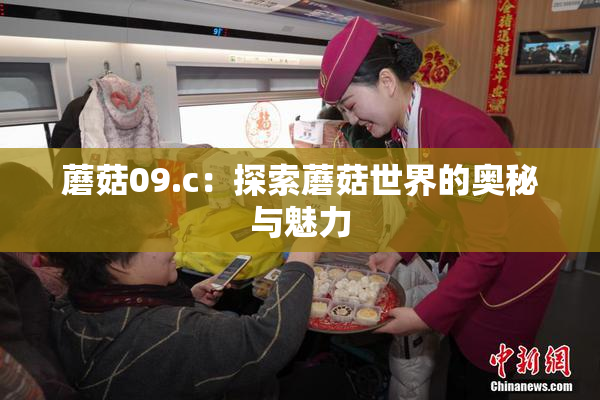 蘑菇09.c：探索蘑菇世界的奥秘与魅力