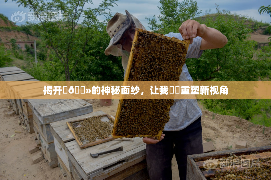 揭开‌🐻的神秘面纱，让我❌‌重塑新视角