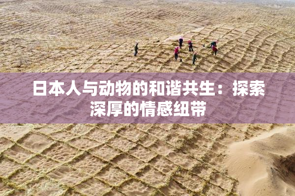 日本人与动物的和谐共生：探索深厚的情感纽带